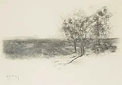 Paul Young, Untitled - Small Stand of Trees, graphite on paper