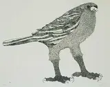 Leonard Baskin, Untitled - Crow #102/150, etching on paper