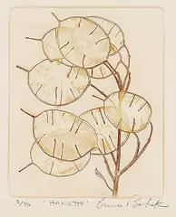 Bruno Bobak, Honesty #2/50, etching on paper