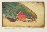 Jack Lee Cowin, Rainbow Trout #A.P., 1986, hand coloured etching on paper