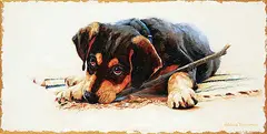 Adeline Halvorson, The Branch Manager, oil on canvas