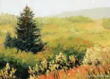 Adeline Halvorson, Beginnings