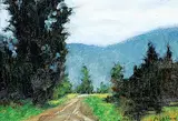 Adeline Halvorson, Doug's Road