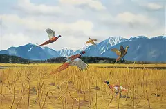 Norman Kelly, Cornfield Pheasants, oil on canvas