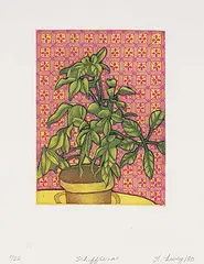 Lorna Livey, Schefflera #1/22, 1980, colour etching on paper