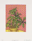 Lorna Livey, Schefflera #1/22, 1980, colour etching on paper