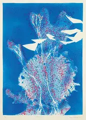 Dora Helen Mackie, Waking Dream #1/6, 1970, hand coloured stencil on paper