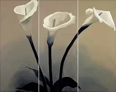Mindi Osness, Untitled - Three Lilies [Triptych], 2003, acrylic on canvas