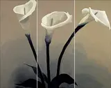 Mindi Osness, Untitled - Three Lilies [Triptych], 2003, acrylic on canvas