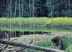 Andres Paabo, Beaver Dam, 1983, acrylic on wood board