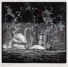Walter J. Phillips, Swans #14/50, 1932, wood engraving on paper