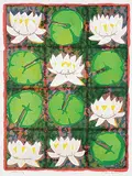 John Harold Thomas Snow, Water Lily #22/50, colour lithograph on paper