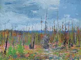 John Davenall Turner, Muskeg and Fireweed