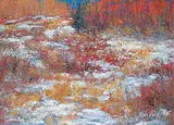 John Davenall Turner, Snow and Bush