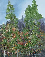 Errol Brimacombe, Edge of the Forest, oil on canvas