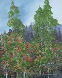 Errol Brimacombe, Edge of the Forest