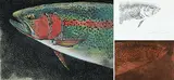 Jack Lee Cowin, Rain Bow Study #B.A.T., 1989, hand coloured etching on paper, original copper etching plate and graphite sketch on paper
