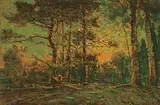 James Henderson, Untitled - Forest Sunset, oil on paper board