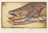 Jack Lee Cowin, Brown Trout Study #A.P., 1986, hand coloured etching on paper