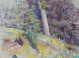 Joseph Francis Plaskett, Last Standing Totem at Kaisun, Queen Charlotte Island