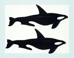 David Thauberger, Whale Print #56/150, 1979, colour silkscreen on paper