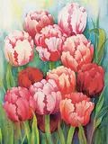 Irene Wahl, Untitled - Tulips, watercolour on paper