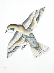 Kavavaow Mannomee, Blue Bird #21/50, 1993, colour lithograph and stencil on paper