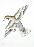 Kavavaow Mannomee, Blue Bird #21/50, 1993, colour lithograph and stencil on paper