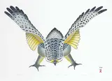 Kananginak Pootoogook, Hawk Prepares for Attack #15/50