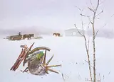 Allen Sapp, Broken Wheel and Old Stove on Stoney Reserve