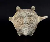 Charlie Ugyuk, Untitled - Face, bone carving