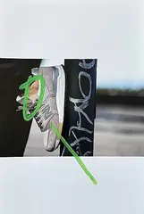 Jay Mosher, Elephant Skin [Shoe], 2020, colour photo print and paint stick