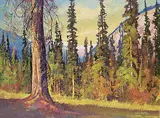 John L. Byrne, Untitled - Deep in the Bush