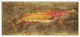 Jack Lee Cowin, Frenchman's Creek Brown