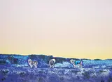 Alexandra Haeseker, Below Zero #6/28, 1982, colour lithograph on paper