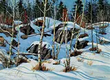 Kenneth F. Martin, Deep in the Woods [Kenora Area], 1982, acrylic on wood board