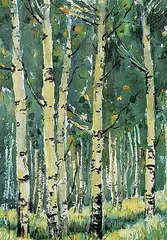 Yvette Morin, Untitled - Birch Trees, watercolour on paper