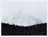 Craig Richards, Untitled - Mountain Beyond the Trees [Canadian Rockies Series], 1984, black and white photograph on paper