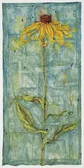 Jennifer Wanner, Brown-Eyed-Susan [Rudbeckia Fulgida], 2001, watercolour on paper
