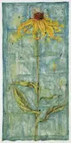 Jennifer Wanner, Brown-Eyed-Susan [Rudbeckia Fulgida], 2001, watercolour on paper