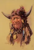 Vilem Zach, Walking Buffalo