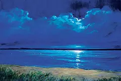 Nicki Ault, Moonlight Swim, 2020, oil on canvas