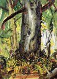Arthur Lismer, Forest Interior, B.C., oil on paper board