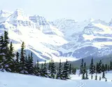 Ted Raftery, Lake O'Hara