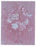 Christopher Cran, Purple Still Life #P/P, 2001, colour silkscreen on paper