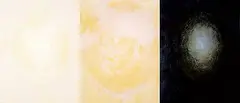 Suzan Dionne, Swell IV / Swell V / Swell VI [Triptych], 1998, oil on canvas board