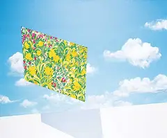 Maureen Enns, Plane Glass, 1982, acrylic on canvas