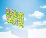 Maureen Enns, Plane Glass, 1982, acrylic on canvas