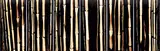 Attila Richard Lukacs, Arbor Vitae II Bamboo [Polyptych]