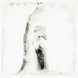 Ben Cope, Hand Series #15/32, mixed media photograph on paper